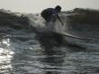 surftx1301
