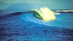 exstreamtv surf pics- cheers moose and harro