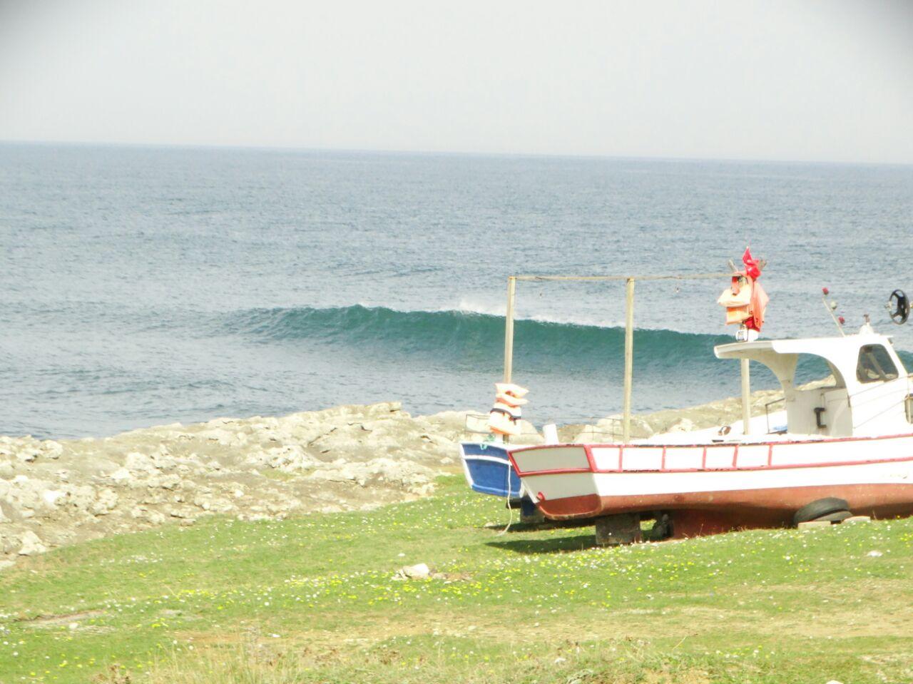 DANUBE SURF COMMUNİTY