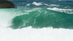 Another monster at Piha