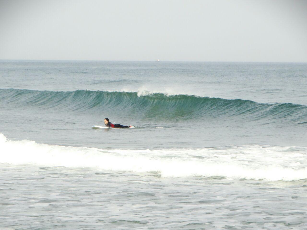 DANUBE SURF COMMUNİTY