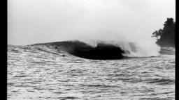 Red Frog Bungalows Surf Resort, Surfing Bocas Del Toro
