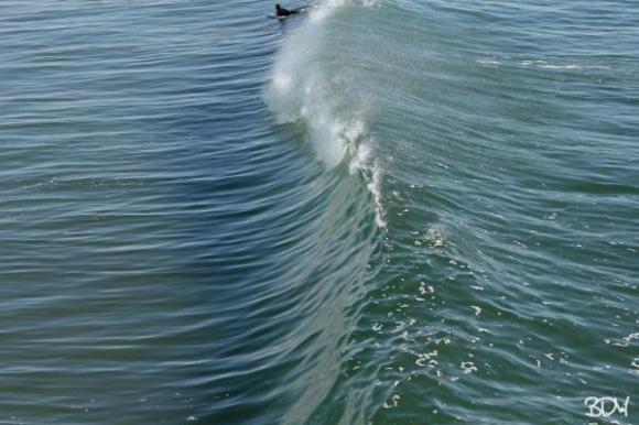 Peeling Wave