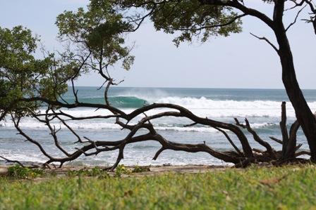 View from Beach