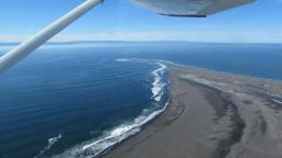punta delicada
