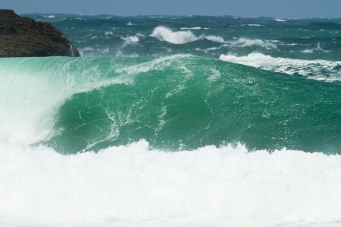 Another monster at Piha