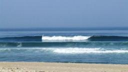 Surfivor Surf Camp 2011