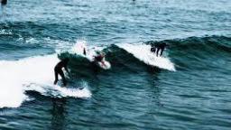 Surfing junior champs