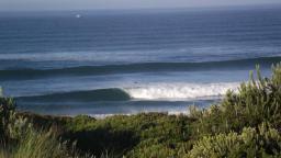 Surf