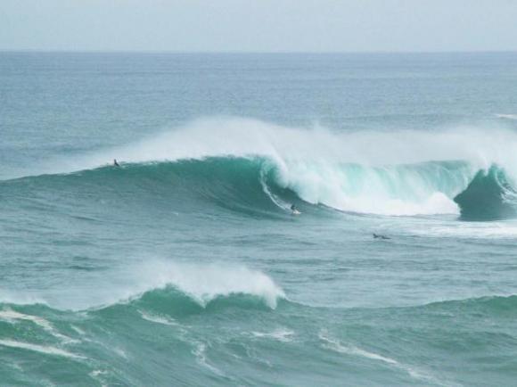 Waimea