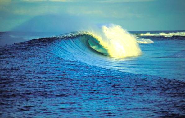 exstreamtv surf pics- cheers moose and harro