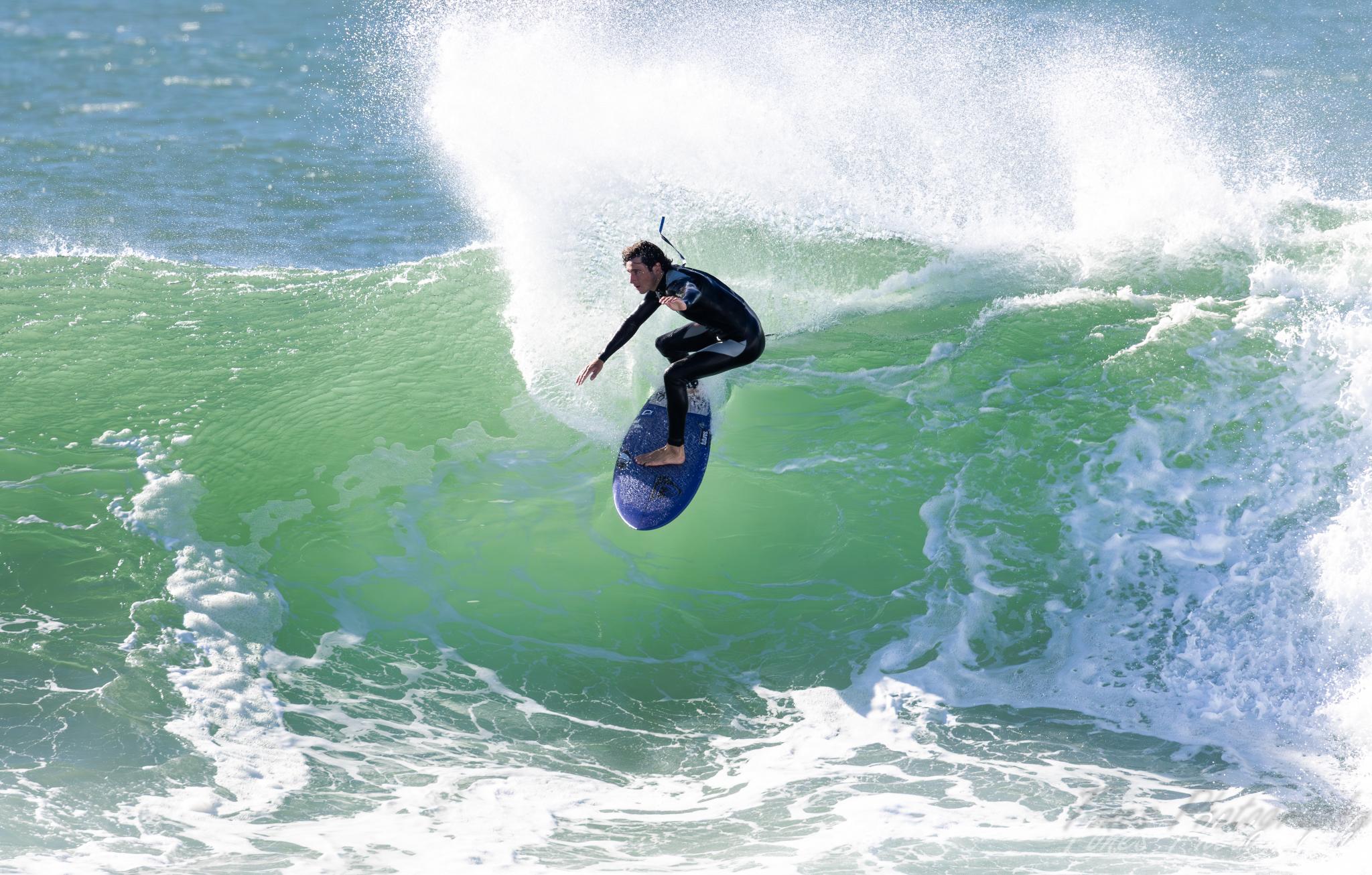 Cowries Shellharbour