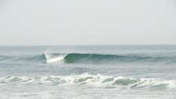 DANUBE SURF COMMUNİTY