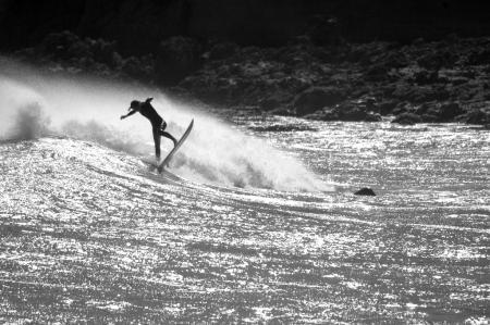 houghton bay wellington
