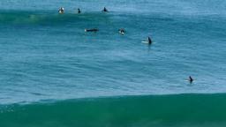 Incoming Swell