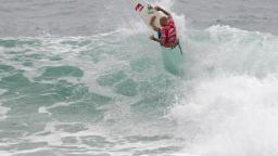 Kelly Slater Snaps at Snapper