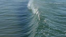 Peeling Wave