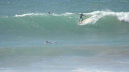 Easy Surf Trips