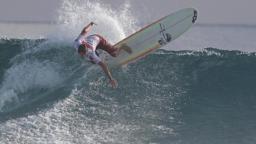Harley Ingleby 2009 ASP World Longboard Champion