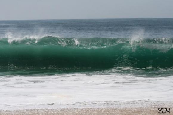 The Wedge