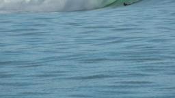 Mentawai