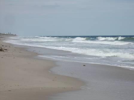 Surfing Sebastian Inlet Pictures