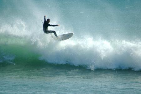 houghton bay wellington