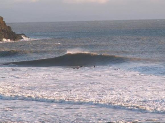 Wedgy Wave