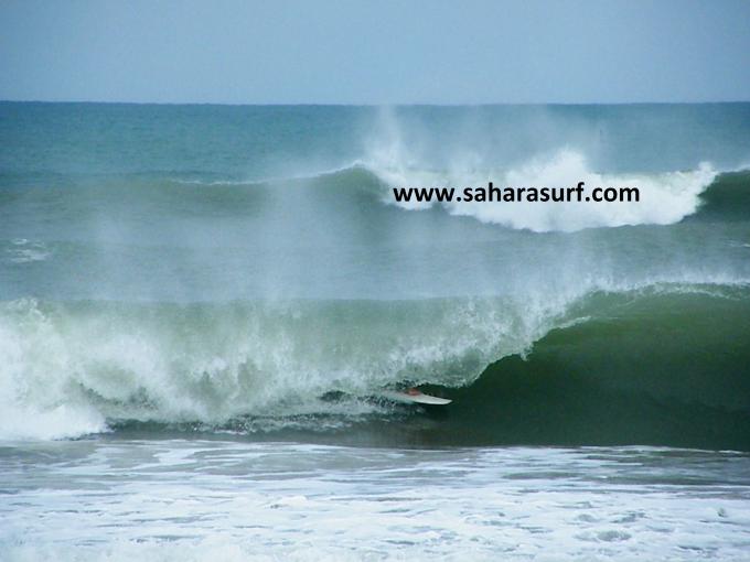 www.saharasurf.com