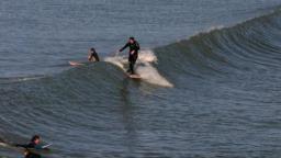 Longboarders in New Zealand