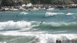 Surfing Levanto