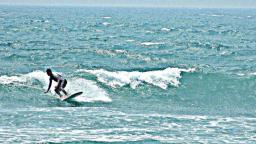 Surfs Up