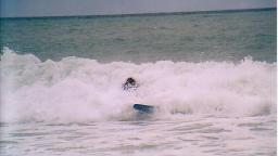 Kaikoura Surf Pictures