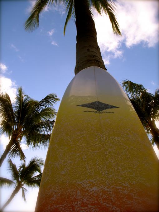 9' Diamond head Longboard