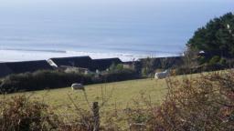 Woolacombe, Devon