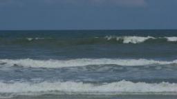 new symrna beach, florida