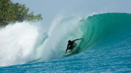 Red Frog Bungalows Surf Resort, Surfing Bocas Del Toro 