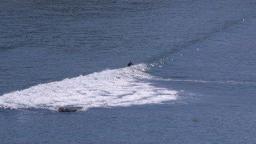 Me & a lonely little wave in South Cornwall