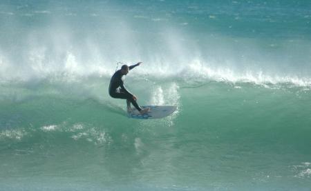 houghton bay wellington