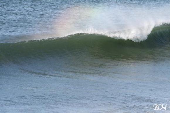 Clean East Coast Californian Waves