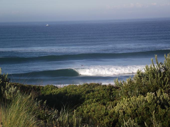 Surf