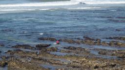 Buarcos, Cabo Mondego, Autumn 2008