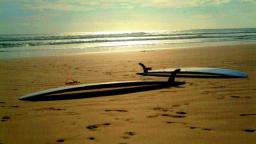 Santa T Longboards