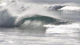 Santa Cruz Surf