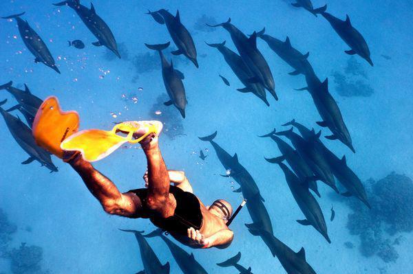 Diving tour in sharm city 
