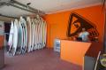surfivor