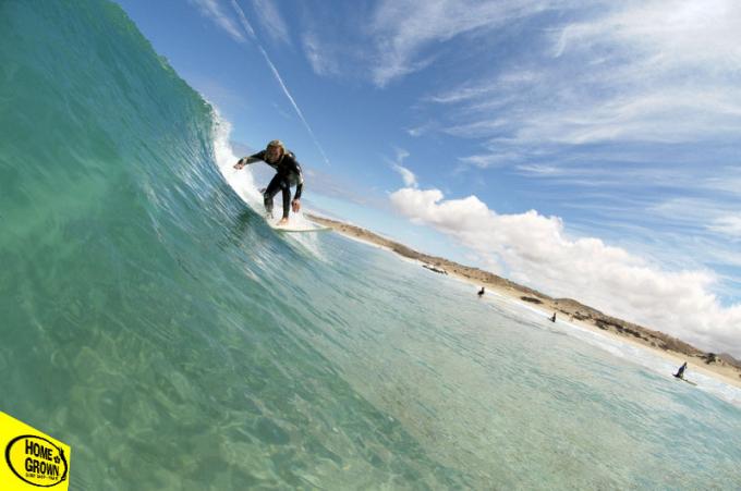 Homegrown surfschool