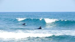 DANUBE SURF COMMUNİTY