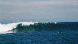 Left  mentawai
