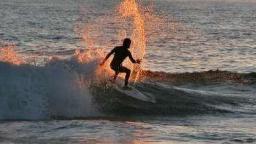 Late Evening Spray